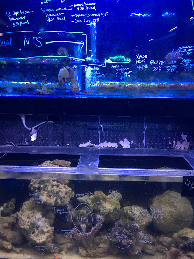 Pond Fish Supplier «Ultimate Aquarium Inc», reviews and photos, 2625 S El Camino Real, San Mateo, CA 94403, USA