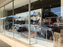 Funny Fur - Photo 2 - Car repair in Houston, TX, Sugar Land