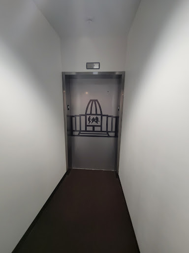 Museum «Pro Football Hall of Fame», reviews and photos, 2121 George Halas Dr NW, Canton, OH 44708, USA