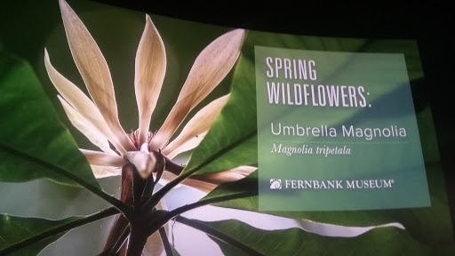 Natural History Museum «Fernbank Museum of Natural History», reviews and photos, 767 Clifton Rd, Atlanta, GA 30307, USA