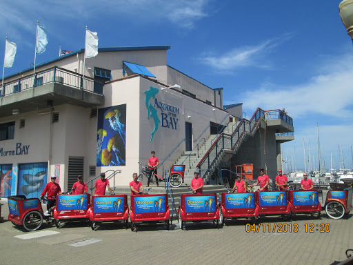 Cabrio Taxi Pedicabs image