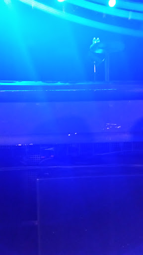 Live Music Venue «The Orange Peel», reviews and photos, 101 Biltmore Ave, Asheville, NC 28801, USA