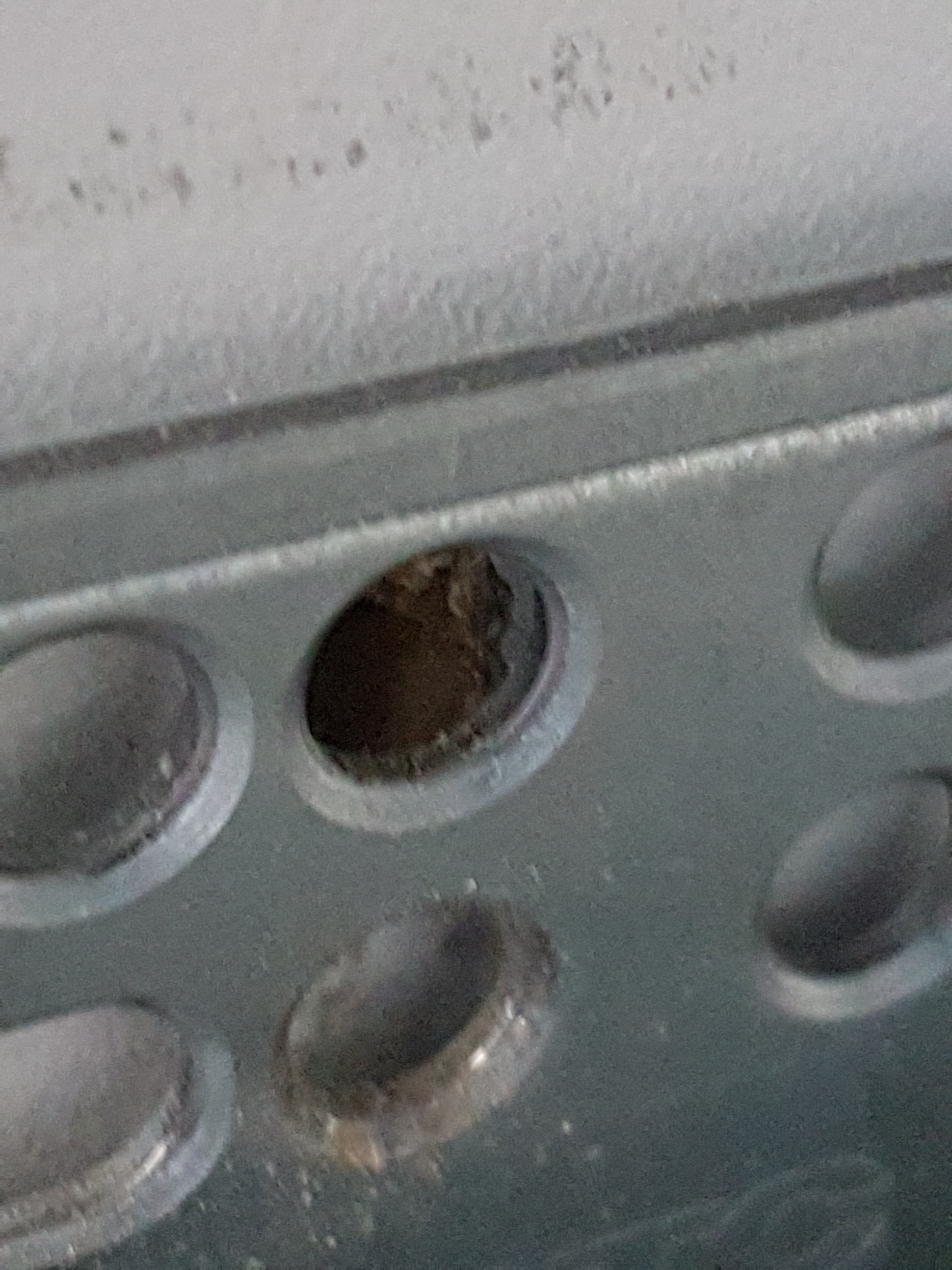 Photo n° 2 de l'avis de JARRET.� fait le 09/04/2019 à 08:43