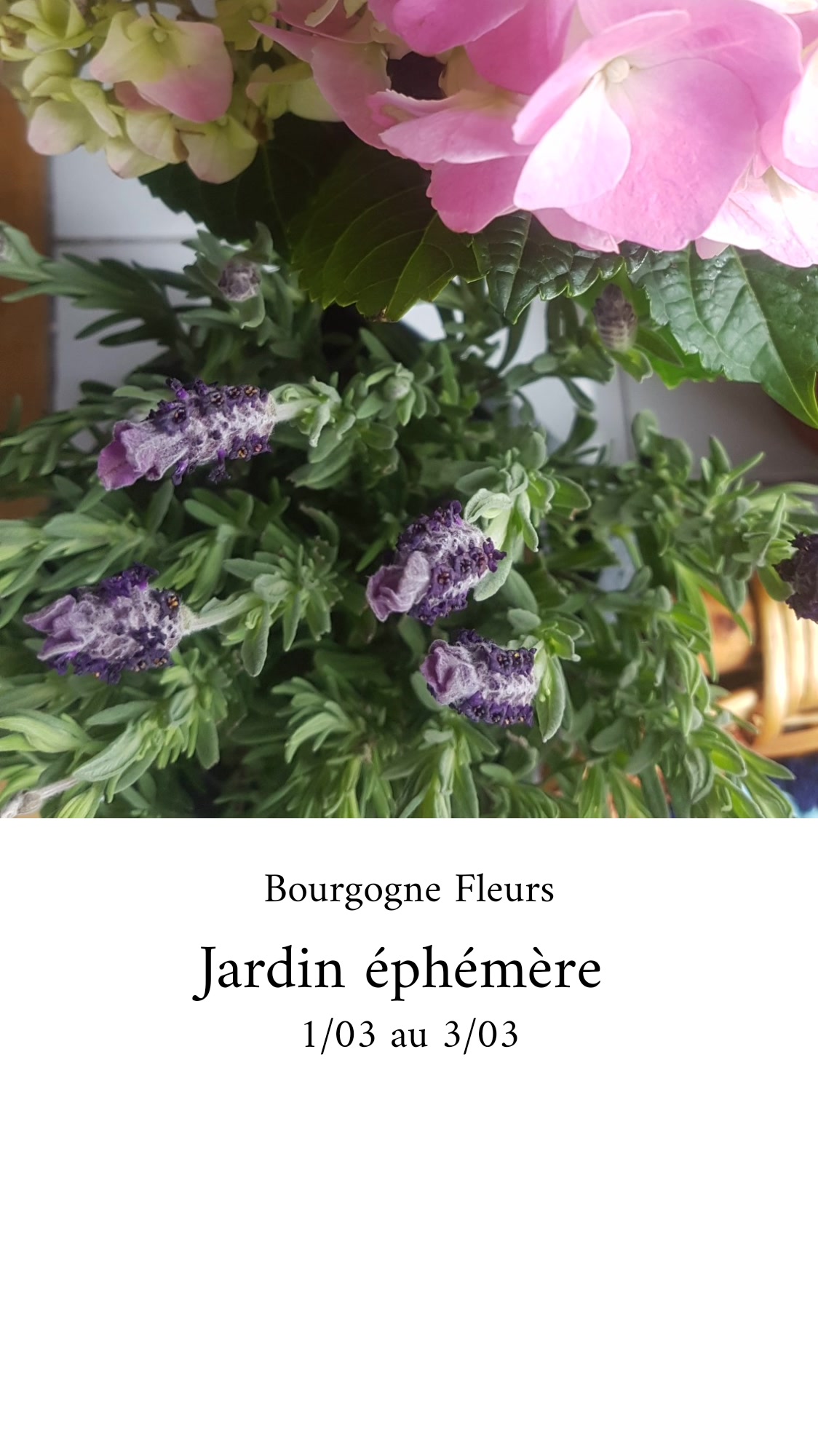 Photo n° 2 de l'avis de Gaëlle.o fait le 01/03/2019 à 10:02