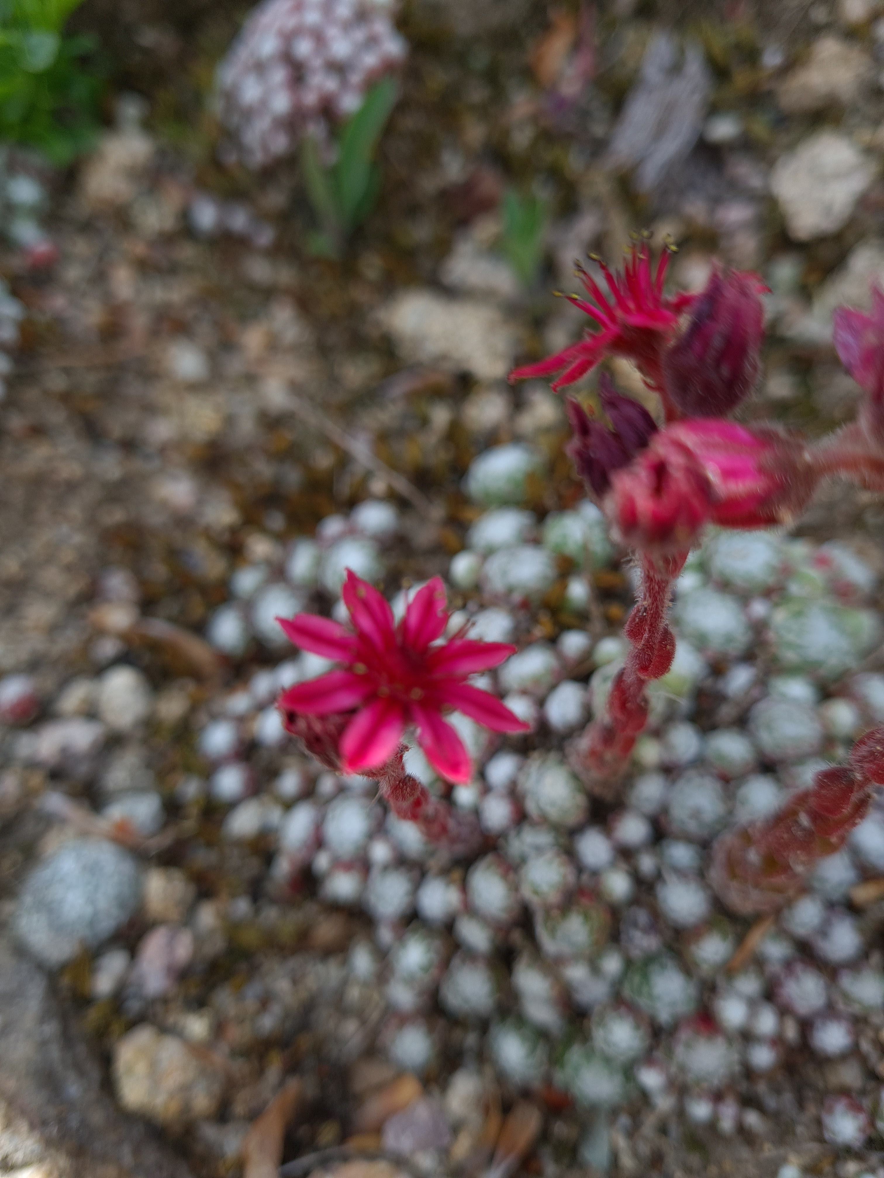 Photo n° 5 de l'avis de Mikael.e fait le 27/07/2020 à 14:32