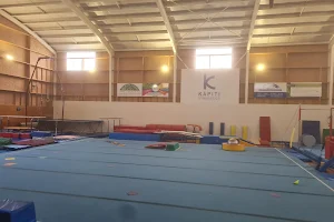 Kapiti Gymnastics Club image