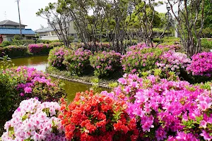 Asano Park image