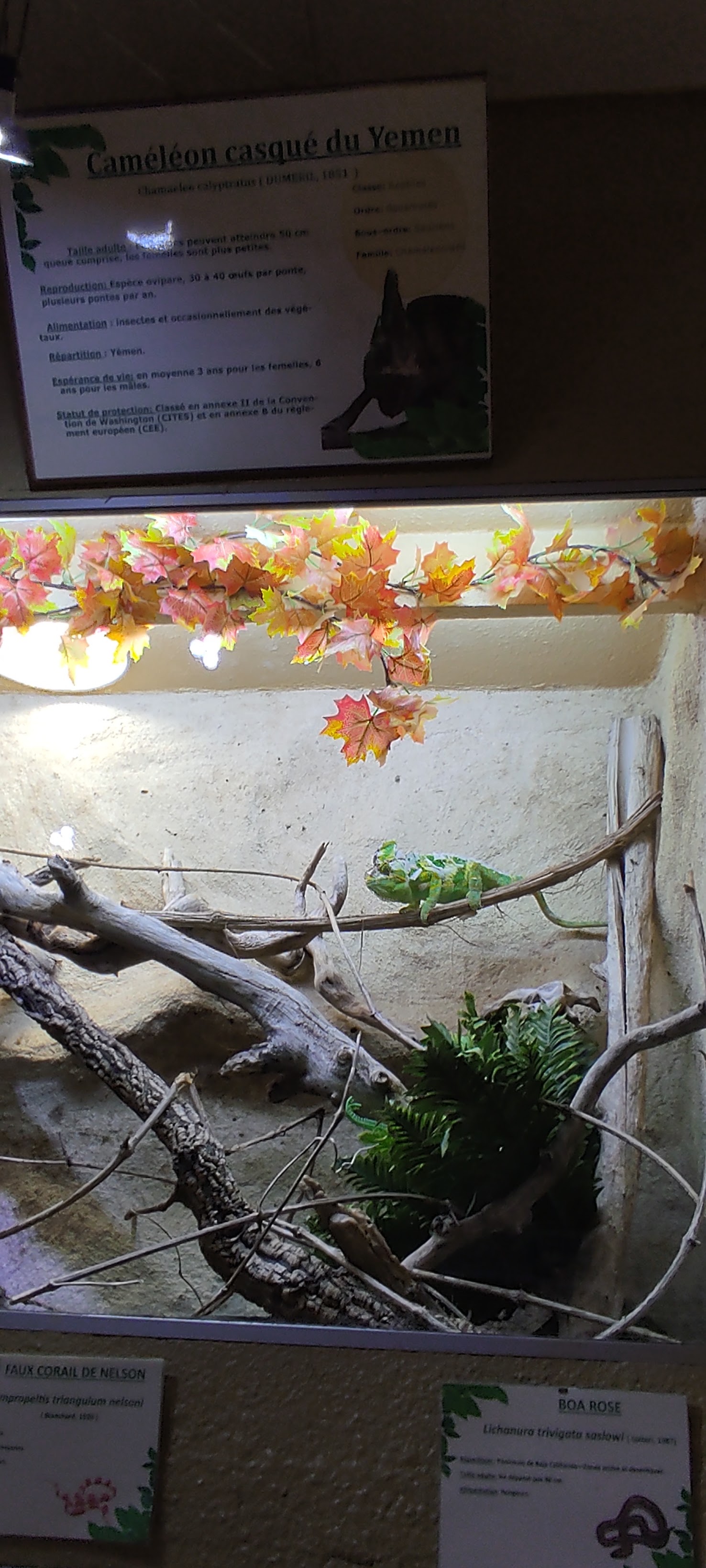 Photo n° 10 de l'avis de Astrid.i fait le 17/09/2021 à 13:14