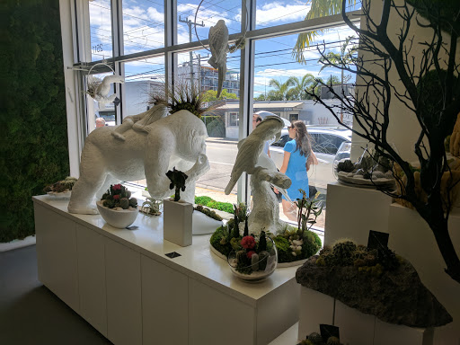 Interior Plant Service «Plant The Future, Inc.», reviews and photos, 2511 NW 2nd Ave, Miami, FL 33127, USA