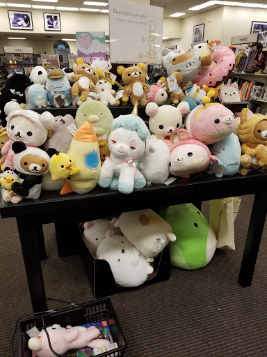 Book Store «Books-A-Million», reviews and photos, 3737 Oleander Dr, Wilmington, NC 28403, USA