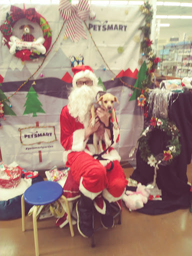 Pet Supply Store «PetSmart», reviews and photos, 160 Wadsworth Blvd, Lakewood, CO 80226, USA