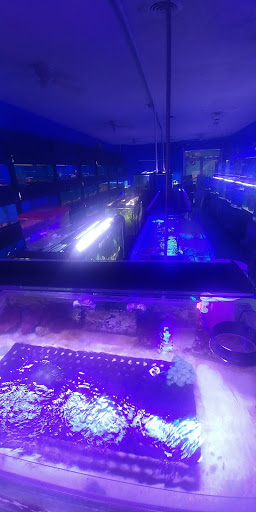 Pet Store «Coral Reef Pet Center», reviews and photos, 7723 W Lawrence Ave, Norridge, IL 60706, USA