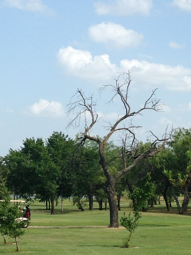 Golf Course «Prairie Lakes Golf Course», reviews and photos, 3202 SE 14th St, Grand Prairie, TX 75052, USA