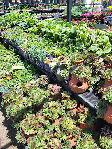 Department Store «Walmart Supercenter», reviews and photos, 2251 IN-54, Linton, IN 47441, USA