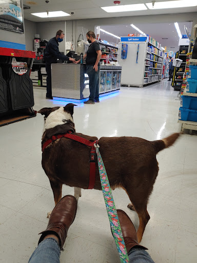 Craft Store «Michaels», reviews and photos, 1215 Airport Park Blvd, Ukiah, CA 95482, USA