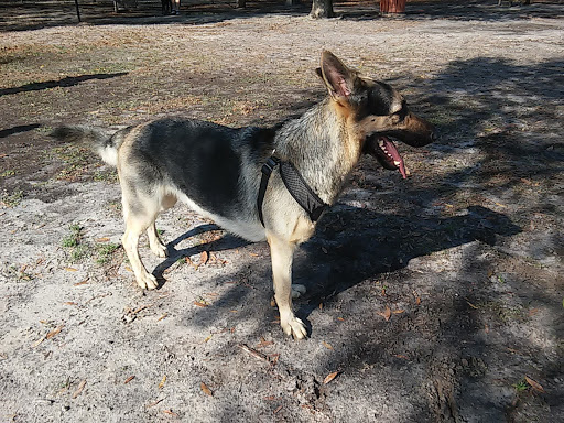 Golf Course «Buffalo Creek Golf Course», reviews and photos, 8100 69th St E, Palmetto, FL 34221, USA