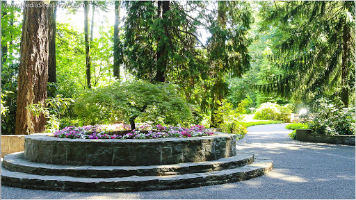 Place of Worship «The Grotto», reviews and photos, 8840 NE Skidmore St, Portland, OR 97220, USA