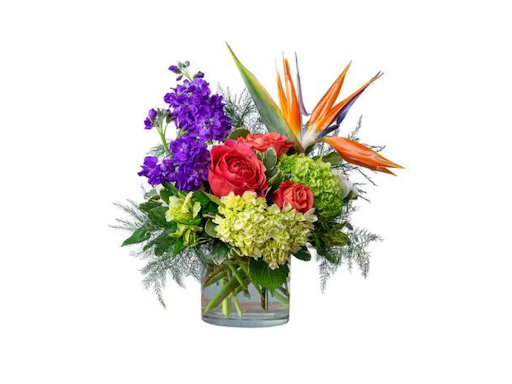 Fioravanti Florist, 2279 Clifford Ave, Rochester, NY 14609, USA, 