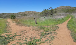 Lusardi Creek County Preserve