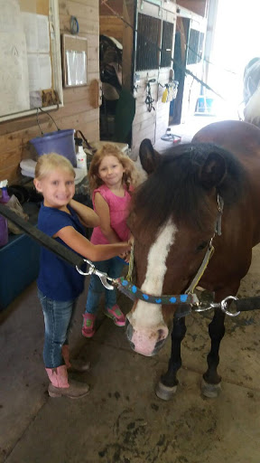 Horse Riding School «Horseng Farm LLC», reviews and photos, 6475 Warden Rd, New Tripoli, PA 18066, USA