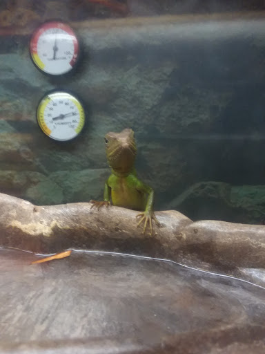 Pet Supply Store «Petco Animal Supplies», reviews and photos, 975 NW Gilman Blvd E, Issaquah, WA 98027, USA