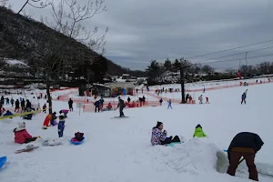 Kanazawa Municipal Ski Resort image