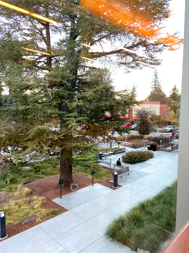 Los Gatos Library image