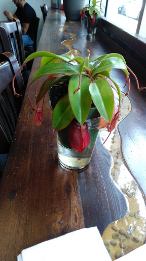 Coffee Shop «Coastal Peaks Coffee», reviews and photos, 3566 S Higuera St #100, San Luis Obispo, CA 93401, USA