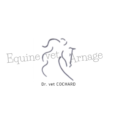 Equine vet'Arnage à Arnage