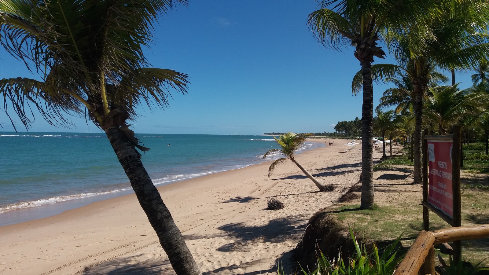 Photo de Praia de Jenipabu zone sauvage