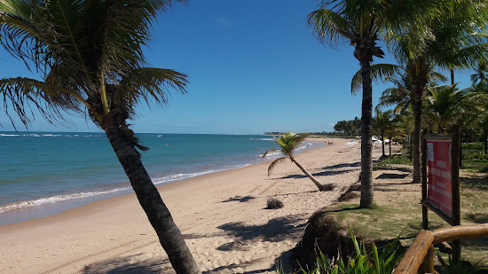 Praia de Jenipabu