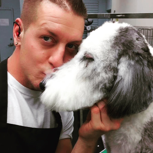 Pet Groomer «The Pet Set - Buckhead», reviews and photos, 2480 Briarcliff Rd NE #3, Atlanta, GA 30329, USA