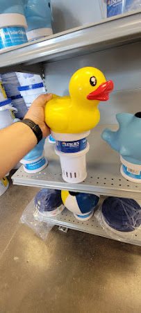 Leslie's - Photo 9 - Car repair in Murfreesboro, TN, Murfreesboro