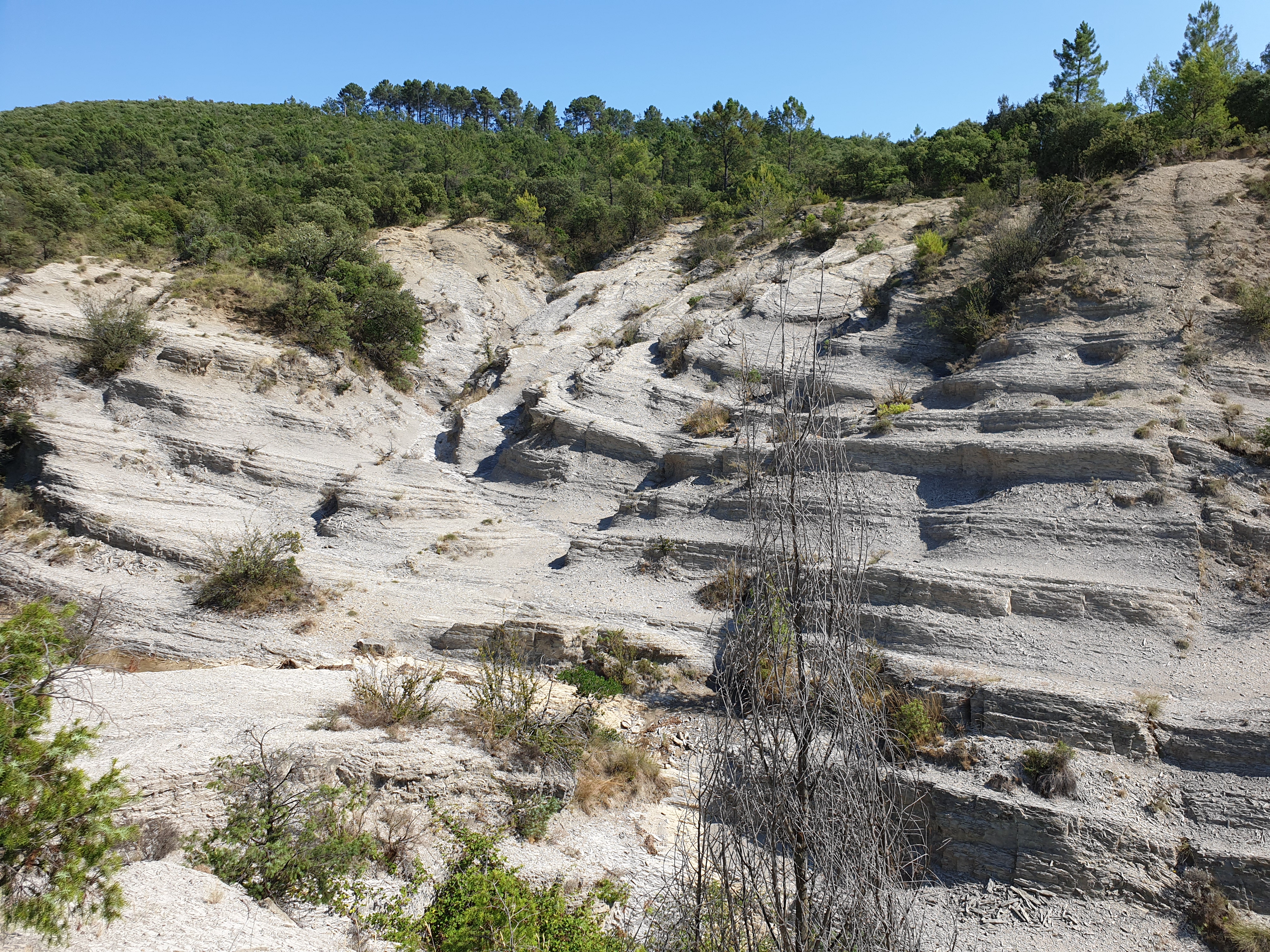 Photo n° 15 de l'avis de shotoma1. fait le 11/08/2019 à 20:03