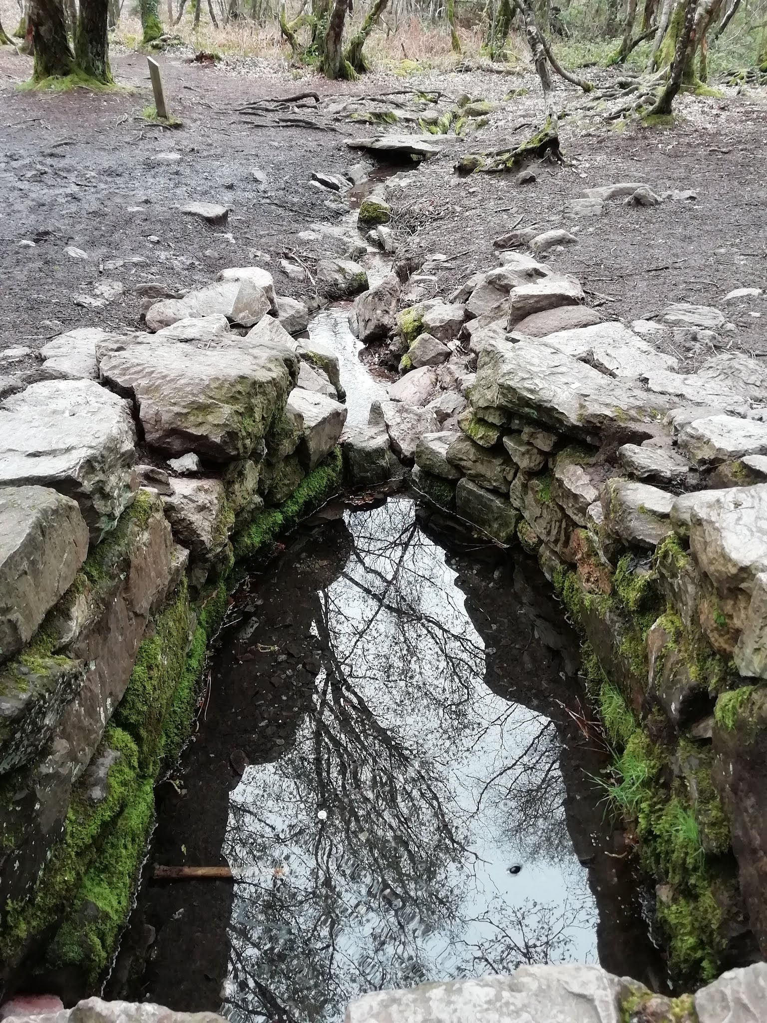Photo n° 4 de l'avis de Wlady.a fait le 07/04/2019 à 16:14