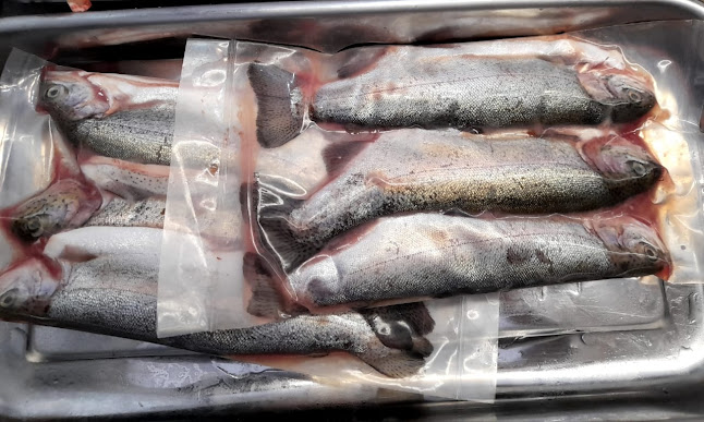 Calle 20 No. 30-17 La Cuadras, Pasto, Nariño