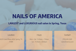 Nails Of America By Target image
