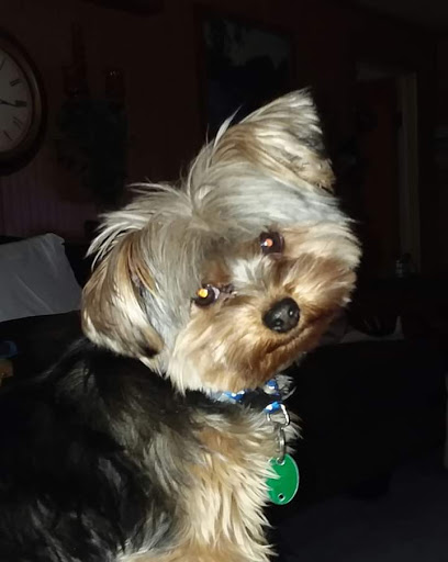 3127 N 5th St, Niles, MI 49120, USA