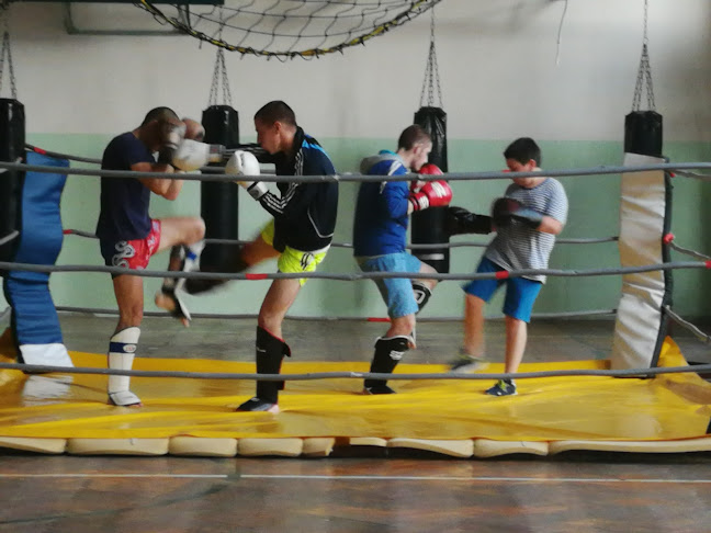 sparta-boxing.club