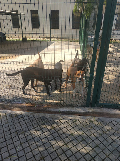 Casa dos Animais de Lisboa