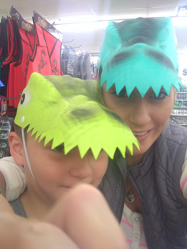 Dollar Store «Dollar Tree», reviews and photos, 278 E Geneva Rd, Wheaton, IL 60187, USA