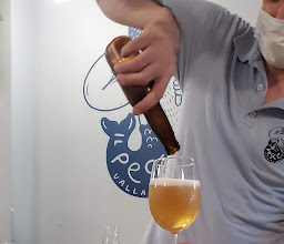 Il pesce. Cucina del mare photo