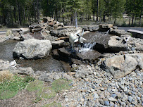 Natures Plan LLC - Photo 6 - Car repair in Bend, OR, Bend