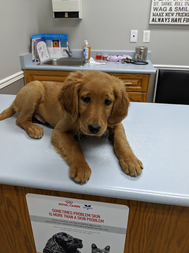 Conestoga Veterinary Clinic image