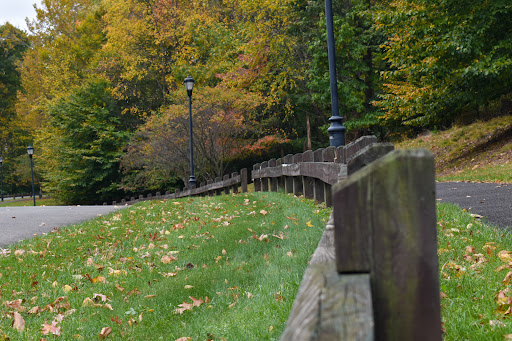 Park «Beech Woods Park», reviews and photos, 137 Beekman Rd, Kendall Park, NJ 08824, USA