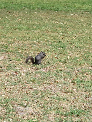 Golf Club «Panorama Golf Club», reviews and photos, 73 Greenbriar Dr, Conroe, TX 77304, USA