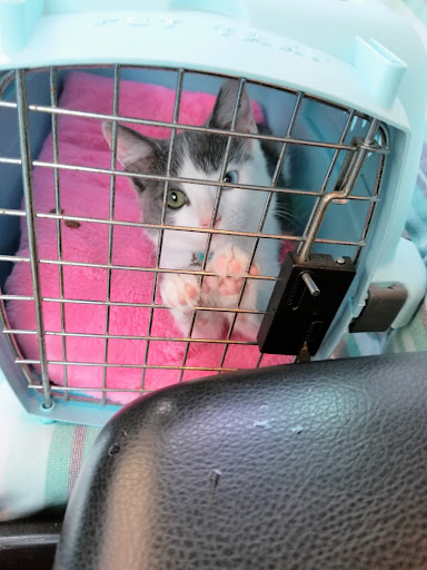 Primary Care Animal Hospital image