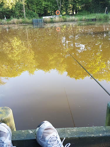 Comments and reviews of Swansea Angling Club Lakes