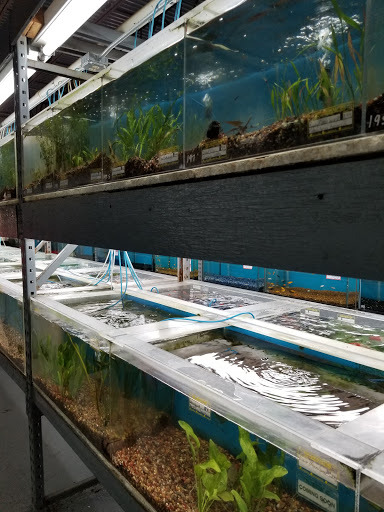 Tropical Fish Store «RMS Aquaculture», reviews and photos, 6629 Engle Rd # 108, Cleveland, OH 44130, USA