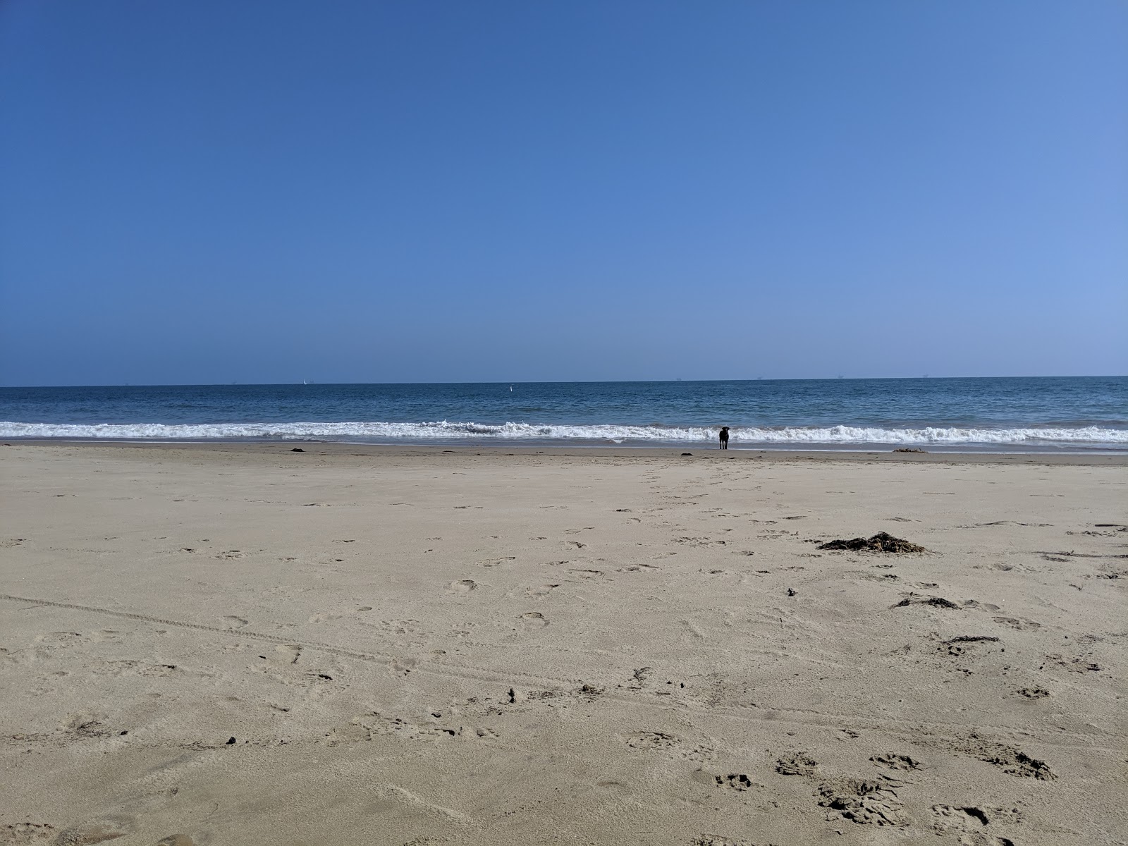Summerland beach'in fotoğrafı düz ve uzun ile birlikte